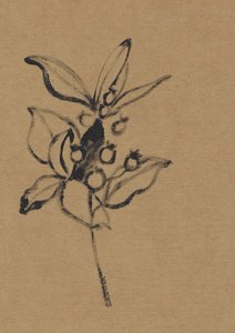 Aardse botanische illustratie door Santhosh ch