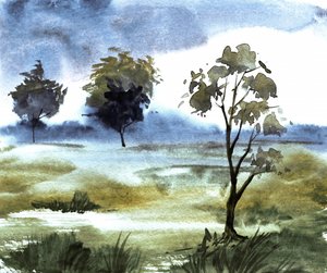 Mistige paarse bomen
