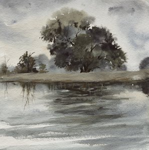 Misty Tree Reflections