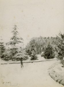 Studie van een Tuin