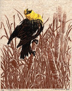 Cantate van kattenstaart, 2017 (Linosnede) door Sarah Drummond