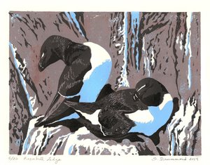 Razorbill richel, 2014 (Linosnede) door Sarah Drummond