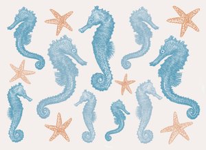 Zeepaardjes en Zeesterren, 2017 door Sarah Hough