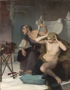De Bacidae