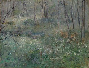 Wilde peterselie, 1900