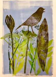 Zingende vogel