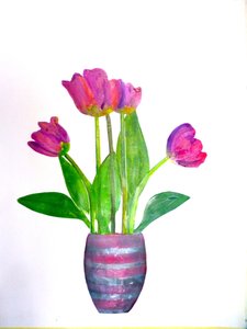 Tulpen 1, 2021