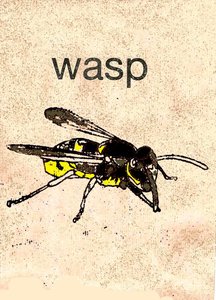 Wesp door Sarah Thompson Engels