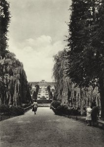 De Terrassen van Sanssouci