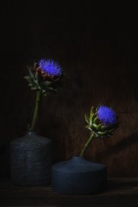  door Saskia Dingemans