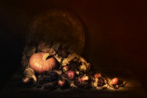 door Saskia Dingemans