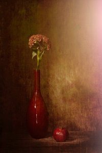  door Saskia Dingemans