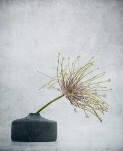  door Saskia Dingemans