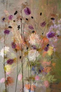  door Saskia Dingemans