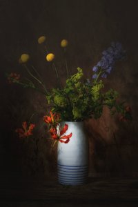  door Saskia Dingemans