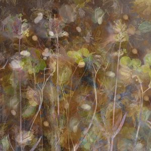  door Saskia Dingemans