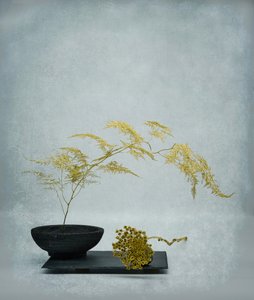  door Saskia Dingemans