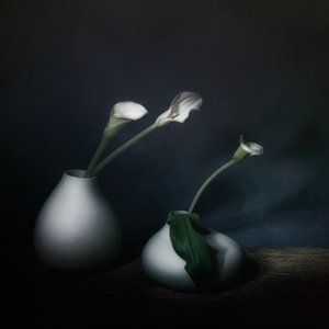  door Saskia Dingemans