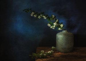  door Saskia Dingemans