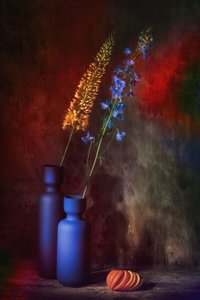  door Saskia Dingemans