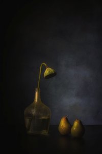  door Saskia Dingemans