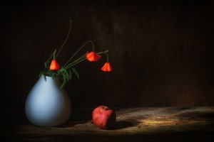  door Saskia Dingemans