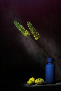  door Saskia Dingemans