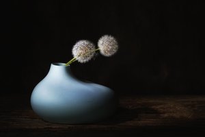 door Saskia Dingemans