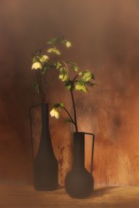  door Saskia Dingemans