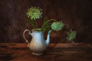  door Saskia Dingemans