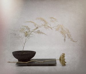  door Saskia Dingemans