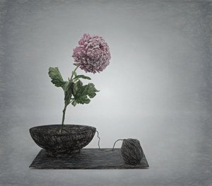  door Saskia Dingemans