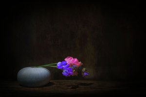  door Saskia Dingemans