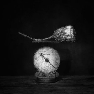 door Saskia Dingemans