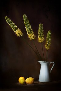  door Saskia Dingemans