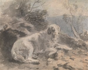 Een setter in een landschap