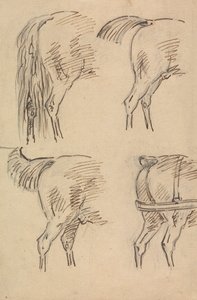 Vier Schetsen van Achterkwartieren van een Paard door Sawrey Gilpin