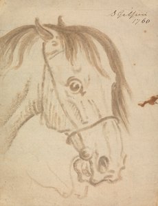 Hoofd van een Paard door Sawrey Gilpin