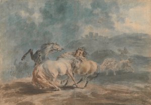 Vechtende Paarden