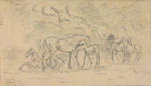 Paarden in een weiland door Sawrey Gilpin