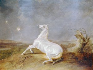 Gek paard