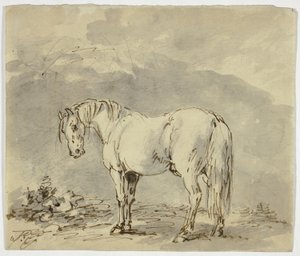 Staand Paard met Gedraaide Kop door Sawrey Gilpin