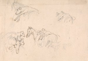 Studie van paarden die kalveren op hun rug dragen door Sawrey Gilpin