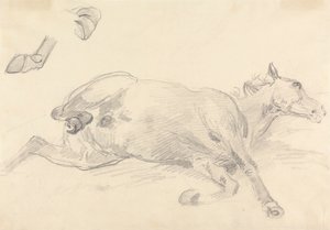 Studie van een liggend paard
