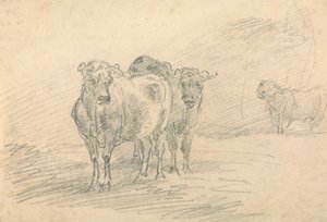 Twee Koeien op een Heuvel