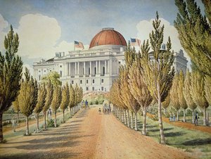 Uitzicht op het Capitool (kleur litho)