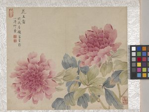 8 Blad Album van Bloemen, midden 1700s