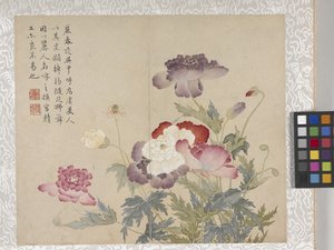 8 Blad Album van Bloemen, midden 1700s door School Chinese