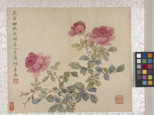 8 Blad Album Van Bloemen, midden 1700s