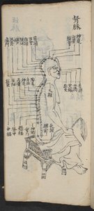 Acupunctuurpunten langs de ruggengraat en het hoofd, uit Jing Guan Qi Zhi, 